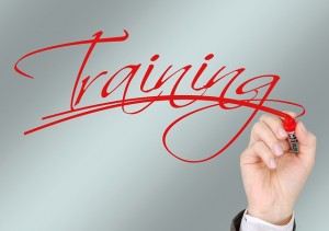 Capital Pricing Consultants, LLC Revenue Management Pricing Sales Team Training